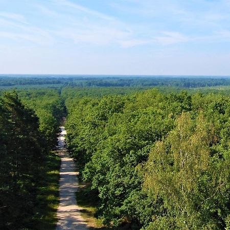 Calodurum 2 Chilleurs-aux-Bois Luaran gambar